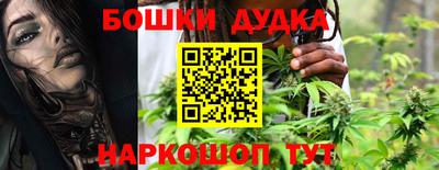 a pvp Дубна