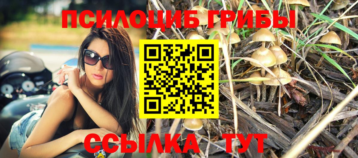 Псилоцибиновые грибы мухоморы Шали