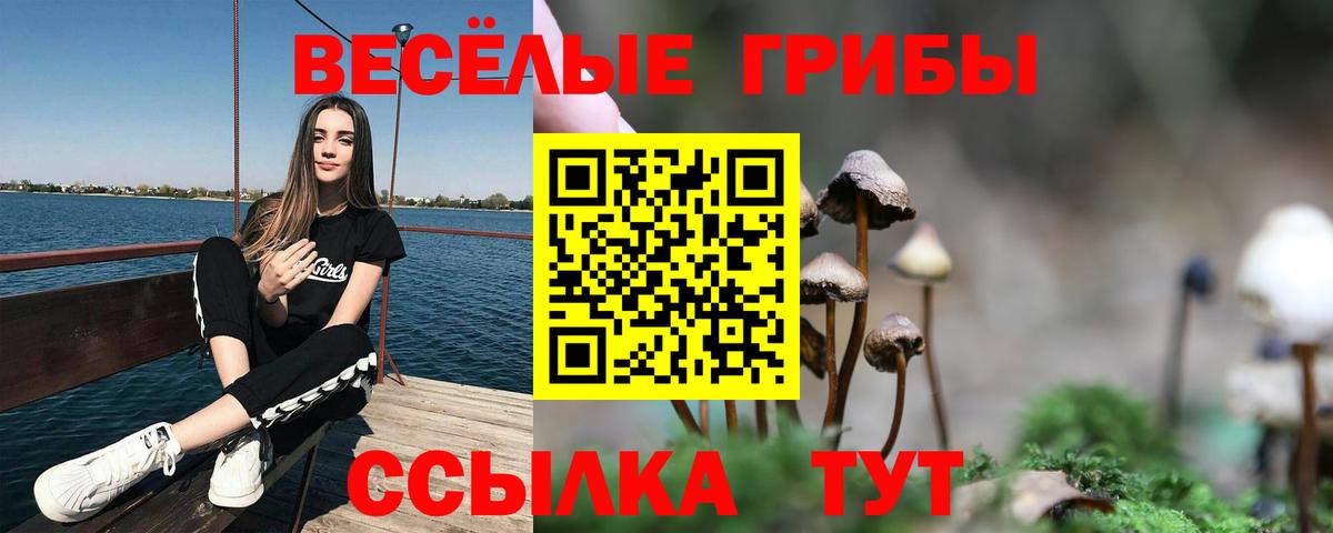 наркошоп  Псилоцибиновые грибы Magic Shrooms  Вход с VPN  Шали 